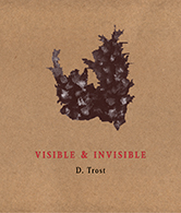 Visible & Invisible
